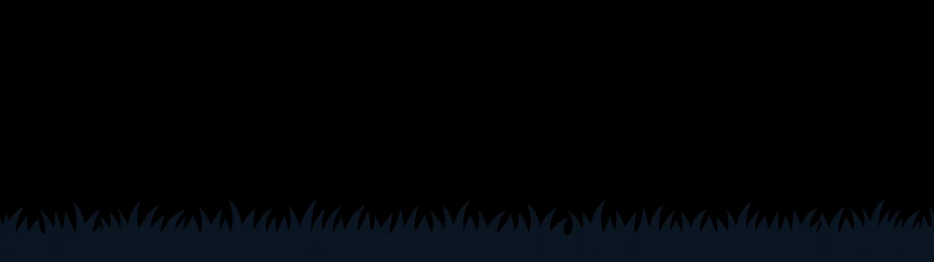 Bottom overlay